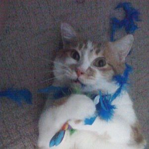 Meet your Posher, Denise